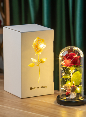 永生花绒布玫瑰花玻璃罩送女朋友送老师女神节妇女节礼物夜灯摆件