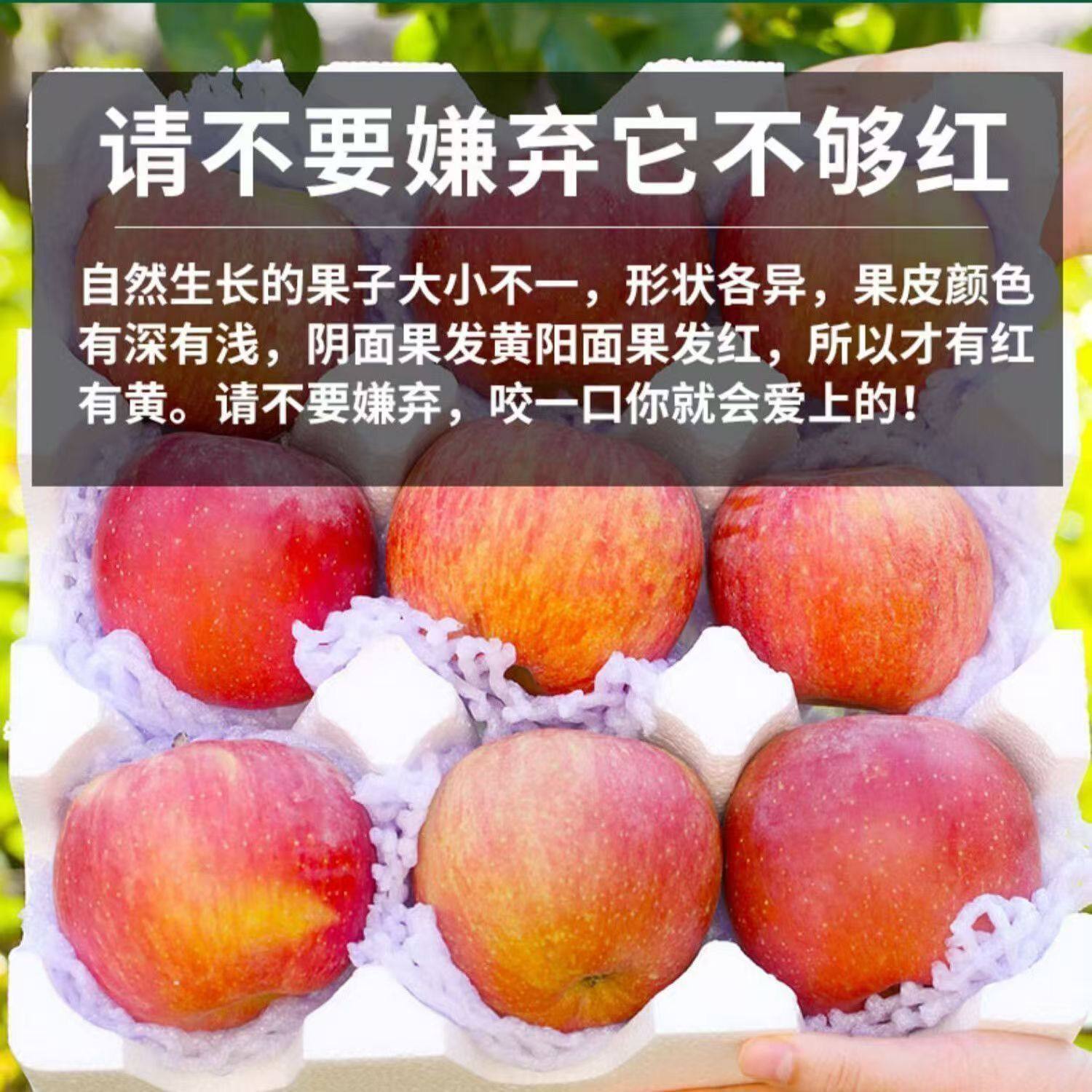 正宗新疆阿克苏冰糖心苹果新鲜水果孕妇儿童红富士丑苹果当季A,淘宝优惠券,粉丝福利购,淘宝优惠卷