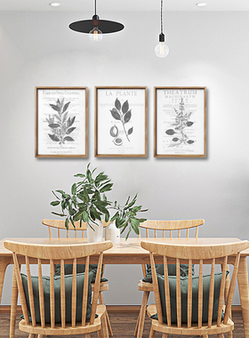 极速美式乡村田园复古实木植物装饰画咖啡服装店S铺西餐吧墙面背