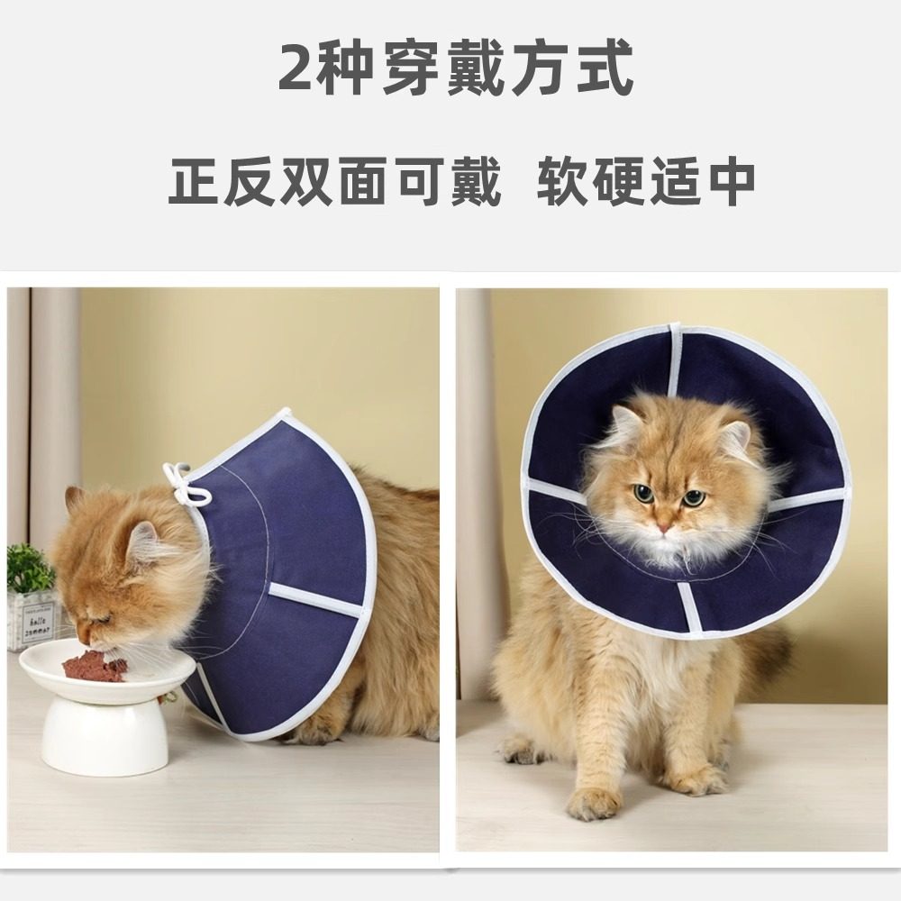伊丽莎白圈头套猫咪绝育防抓防挠项圈术后医用超轻耻辱无纺布脖圈,淘宝优惠券,粉丝福利购,淘宝优惠卷