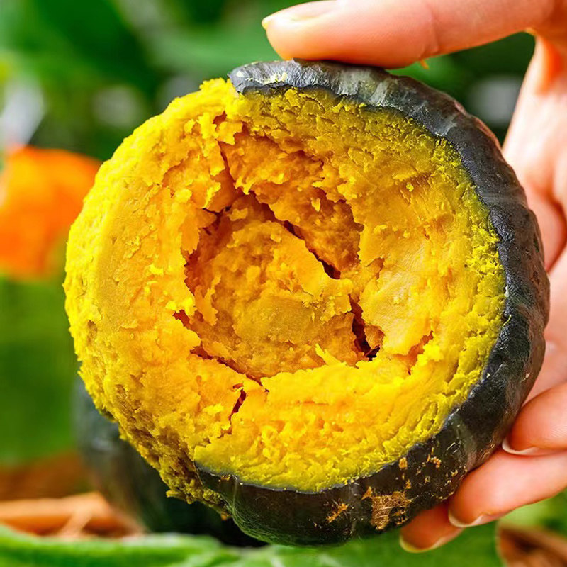 Beibei pumpkin chestnut flavor small pumpkin 5 pounds authentic old pumpkin fresh vegetable powder glutinous chestnut noodles baby food supplement 10