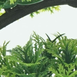 新款仿真花盆景 塑料花绿植盆栽植物 客厅室内家居装饰花摆件