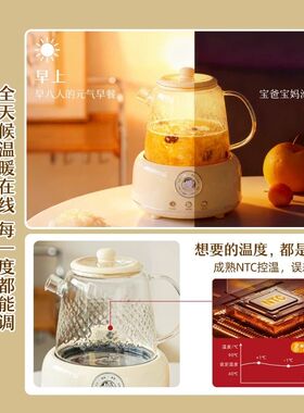 树可知心壶电陶炉煮茶炉煮茶器大功率家用2026新款迷你小型养生壶