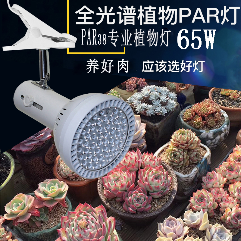 65W植物墙补光射灯室内假山鱼缸造景全光谱led生长轨道雨林缸灯 - 图1