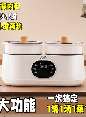 双开关双胆锅6大功能带预约