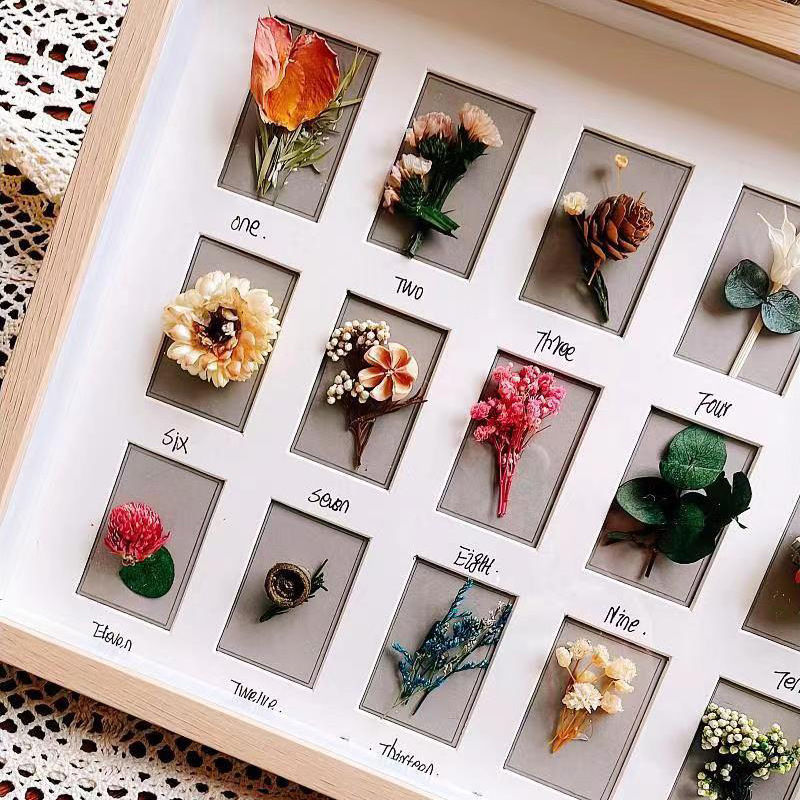 diy中空干花标本宫格相框昆虫贝壳粘土装裱饰1.5成长相册多孔收纳 - 图1