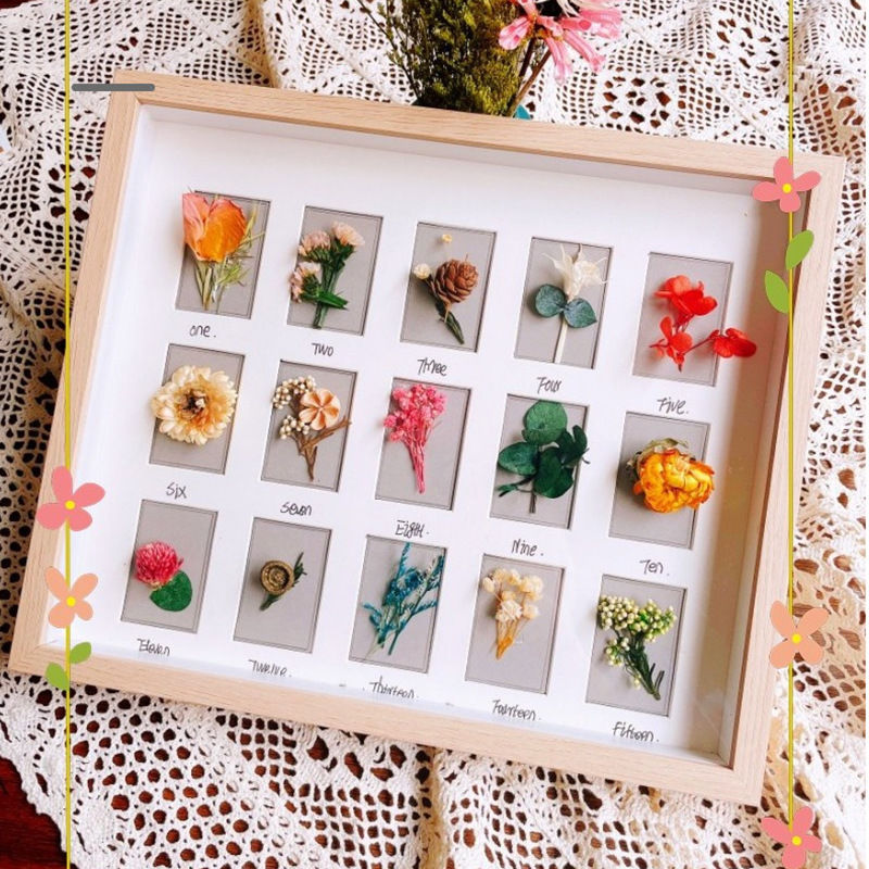 diy中空干花标本宫格相框昆虫贝壳粘土装裱饰1.5成长相册多孔收纳 - 图2