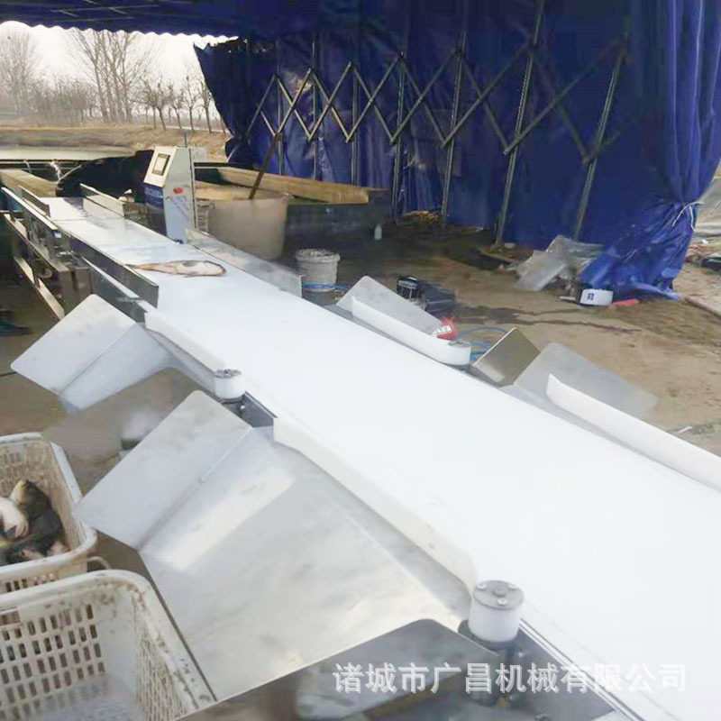 分选机热销产品海鲜重量分选机牡蛎拣选机鸡翅白条鸡六级分选机,淘宝优惠券,粉丝福利购,淘宝优惠卷