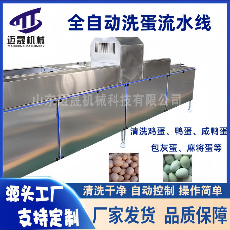 商用全自动洗蛋机养殖场鸡蛋鸭蛋松花蛋清洗去泥设备自动化洗蛋机,淘宝优惠券,粉丝福利购,淘宝优惠卷