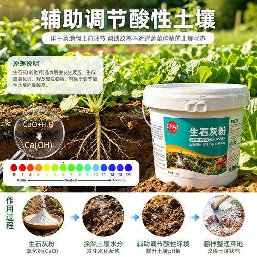 生石灰粉杀虫种菜消毒专用高纯度防霉防潮农业改良蔬菜土壤干燥剂 - 图1