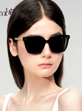 小香大方框墨镜女高清尼龙太阳镜