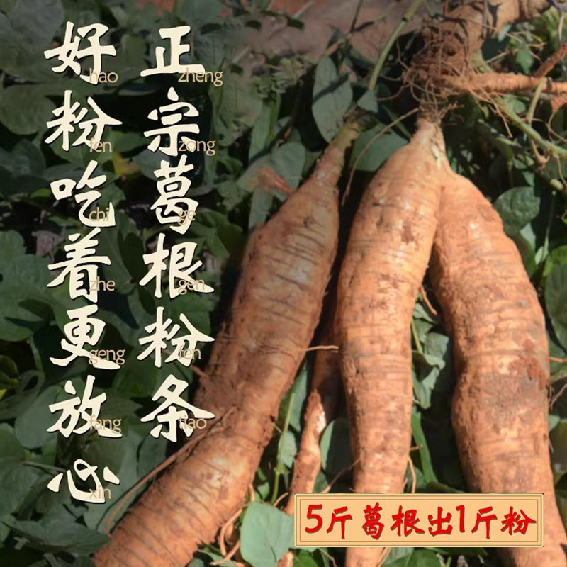 正宗葛根粉条正品5斤手工天然野生干货山药葛根粉丝凉拌酸辣粉,淘宝优惠券,粉丝福利购,淘宝优惠卷