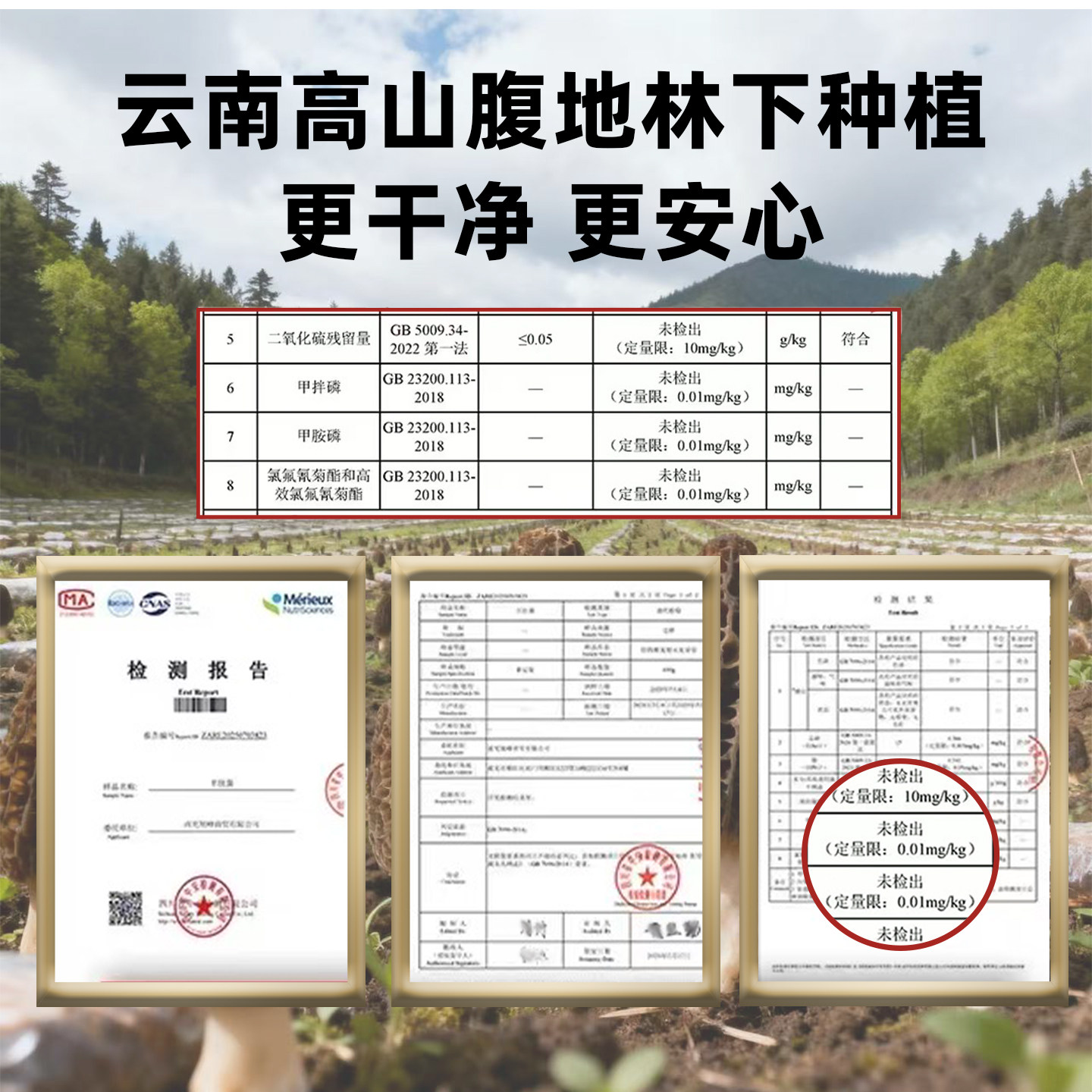 羊肚菌干货非特级野生500g新鲜菌菇煲汤干货食材旗舰店礼盒云南,淘宝优惠券,粉丝福利购,淘宝优惠卷