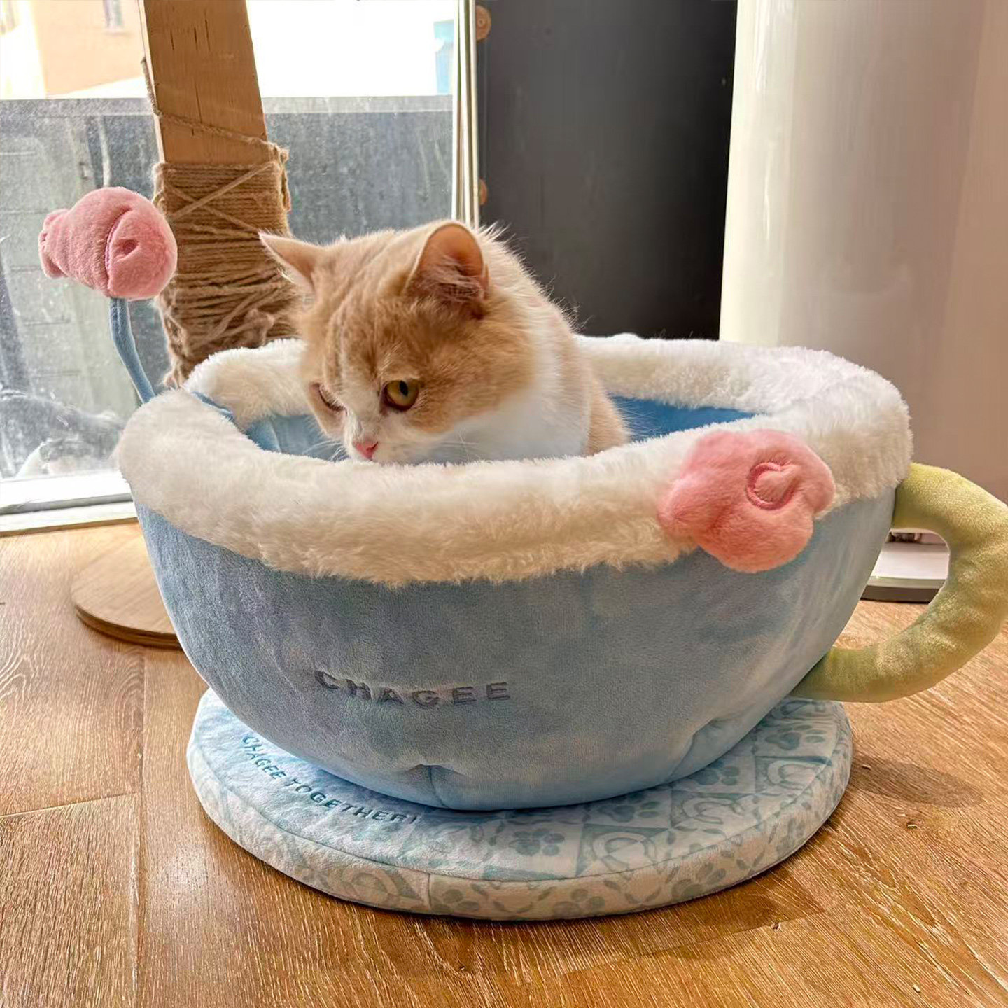 霸王茶姬猫窝限定周边毛绒茶杯萌宠窝zeze联名猫窝四季通用猫别墅,淘宝优惠券,粉丝福利购,淘宝优惠卷