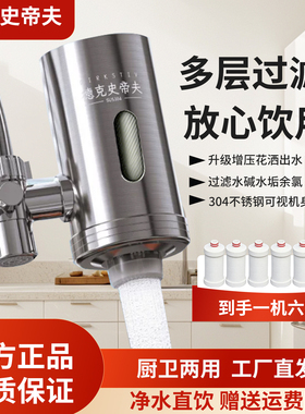 德克史帝夫不锈钢家用龙头净水器