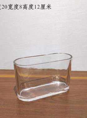 现代简约椭缸圆缸椭圆缸透样明长方花瓶件家居板房阳摆台水养绿萝