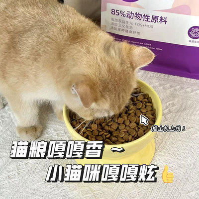 小猫乱撞全价无谷猫粮成幼通用型