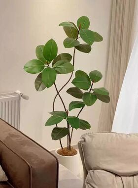 黑金刚大型仿真绿植橡皮树室内客厅盆栽高端轻奢仿生假树植物摆件