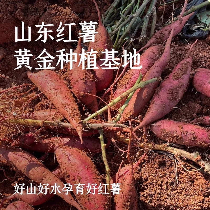 农家纯正红薯粉条官方旗舰店纯手工无添加火锅粉正宗粉丝河南特产 - 图0