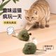 Cat Toy Simulation Meowing Mouse Intelligent Sensor Sound