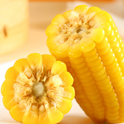有机东北甜糯玉米啃糯