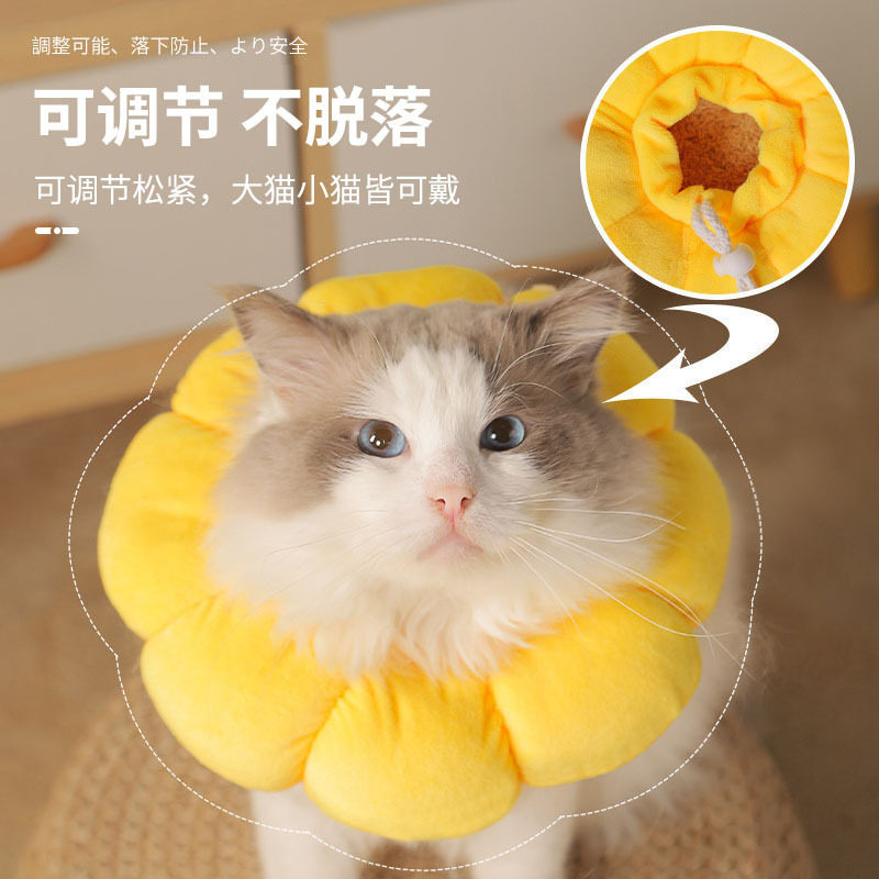 伊丽莎白圈太阳花宠物项圈猫咪狗项圈套脖绝育防舔耻辱项圈头套,淘宝优惠券,粉丝福利购,淘宝优惠卷