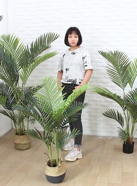 仿真散尾葵落地盆栽北欧贵妃葵室内摆件假绿植盆景客厅装饰植物树