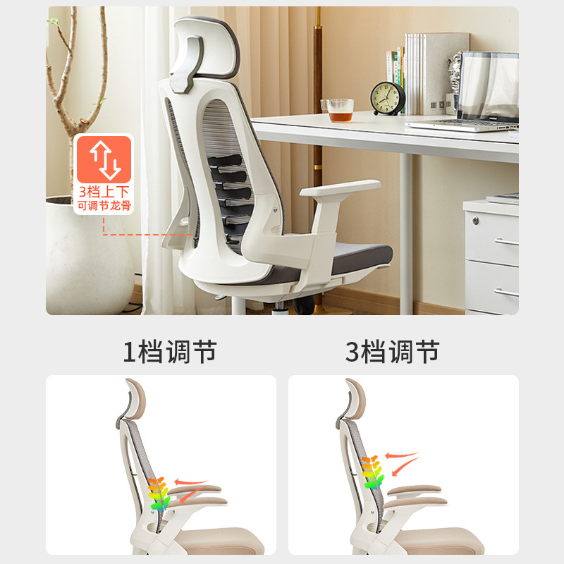 办公椅人体工学椅舒适靠背椅子护腰电脑椅家用久坐学习.椅书房座,淘宝优惠券,粉丝福利购,淘宝优惠卷