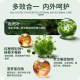 Befony Loquat BO Quercetin Bufony Loquat Bo Mint Befony Eucalyptus Manuka Honey