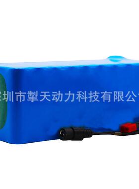 电动自行车电池48v29Ah18650锂离子电池组13串3并+充电器