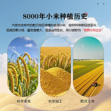 金鹿角内蒙赤峰黄小米900g/袋[10元优惠券]-寻折猪