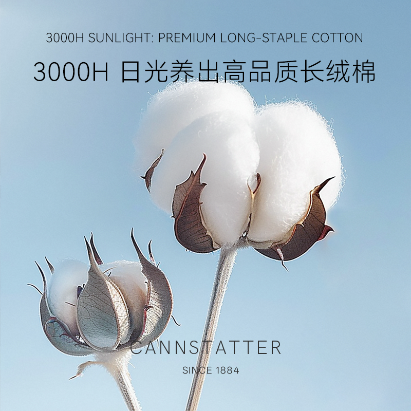 【烈儿超值年货节】CANNSTATTER羽毛枕头五星级酒店全棉枕,淘宝优惠券,粉丝福利购,淘宝优惠卷