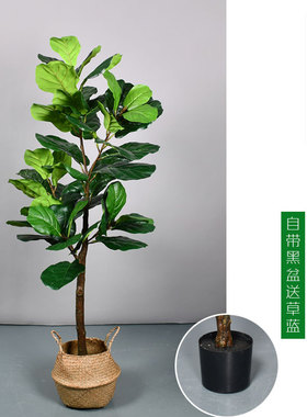 北欧仿真绿植大叶琴叶榕盆栽客厅室内大型植物简约装饰假树龟背竹