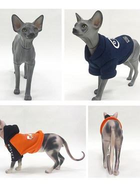 无毛猫模型可拆宠物道具猫狗衣服拍摄展示衣架模特斯芬克斯猫摆件
