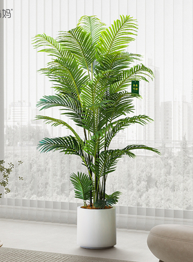 仿真绿植高端轻奢散尾葵植物盆栽客厅凤尾竹仿生大型假树装饰造景