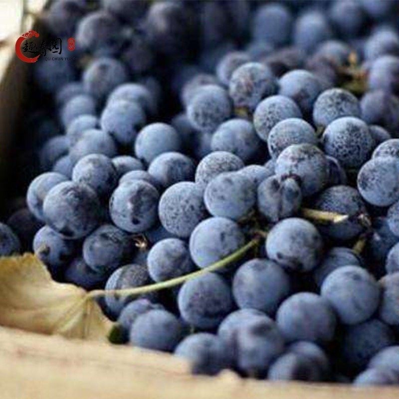 可可藏香黑醋栗果浆果酱果泥浓缩水果风味果汁1L冲调饮品奶茶店,淘宝优惠券,粉丝福利购,淘宝优惠卷