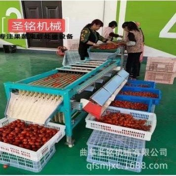 商用樱桃分选机 圣女果多级捡果机 轨道式树葡萄分选机,淘宝优惠券,粉丝福利购,淘宝优惠卷
