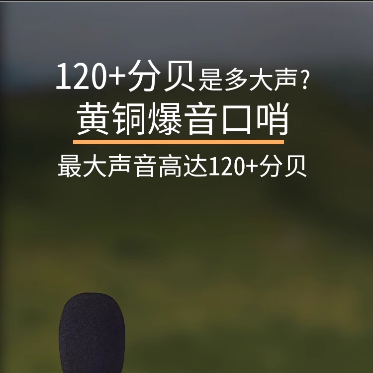 应急口哨户外登山野营地震徒步强制运动求生哨救生哨黄铜成人儿童