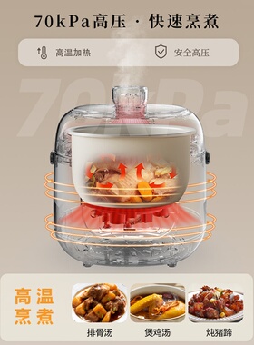 半球电压力锅电饭煲新款家用小型