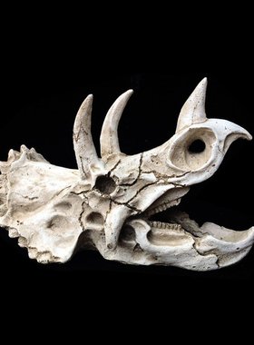 爬宠用品 树脂仿真头骨躲避 三角龙恐龙骨化石饲养箱造景晒台洞穴