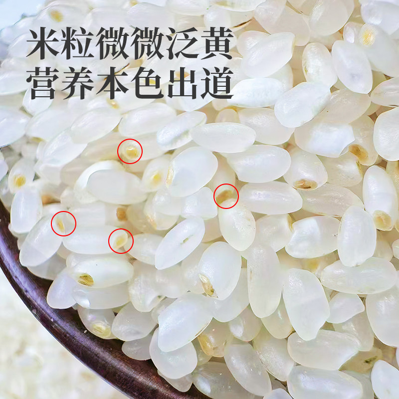 苏通绿禾臻品江苏如东大米胚芽米真空包装米粥新米5斤香米粳米9.5,淘宝优惠券,粉丝福利购,淘宝优惠卷