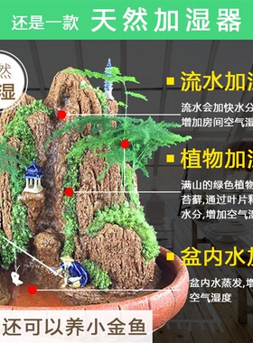 假山流水喷泉桌面摆件流水绿植加湿室内客厅微景观办公室鱼缸造景
