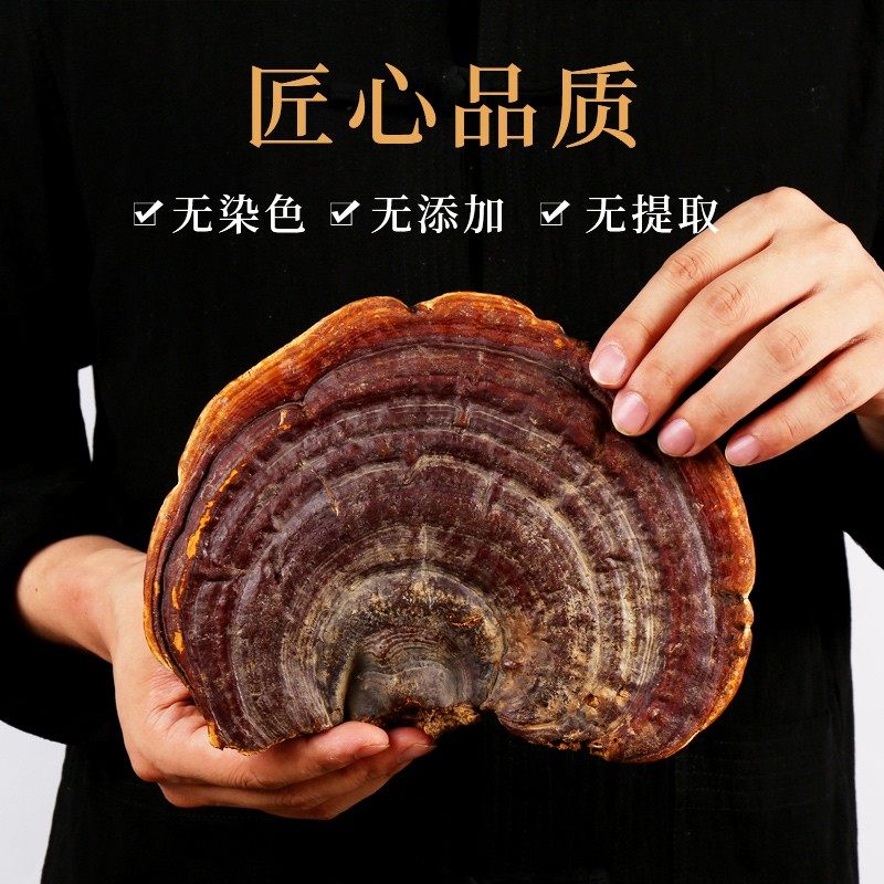 长白山赤灵芝片无柄赤芝整枝野生灵芝干货深山林芝切片250g买3送1,淘宝优惠券,粉丝福利购,淘宝优惠卷