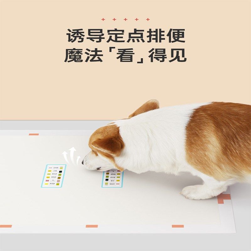 狗狗尿垫加厚吸水尿片隔尿布诱导猫用G入厕所纸尿不湿猫咪宠物用,淘宝优惠券,粉丝福利购,淘宝优惠卷