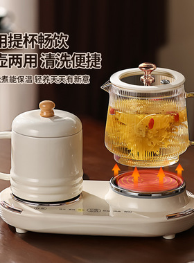 花茶养生壶炖煮一体煮茶烧水壶小型一人办公室全玻璃家用