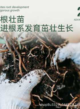 曜土进口泥炭0-40mm泥炭土基质栽培容器苗种植水果蔬果花卉营养土