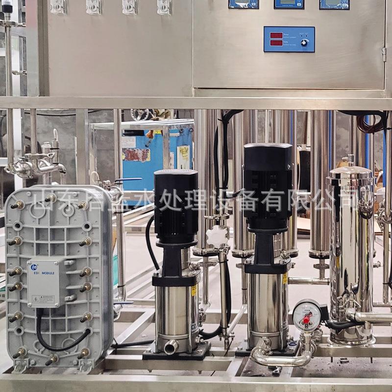 0.5T吨双极超纯水设备EDI水处理反渗透免维护食品酒店供水全自动 - 图0