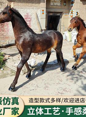 仿真动物马模型真皮毛动物标本大型庭院摆件景区黑马白马装饰摆件