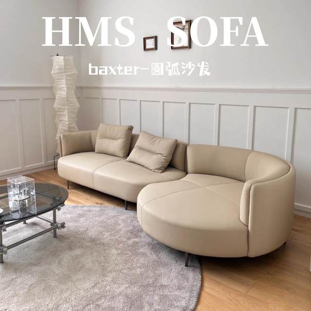 Light luxury minimalist design special shape small apartment Napa leather niche corner concubine creative Nordic style arc sofa