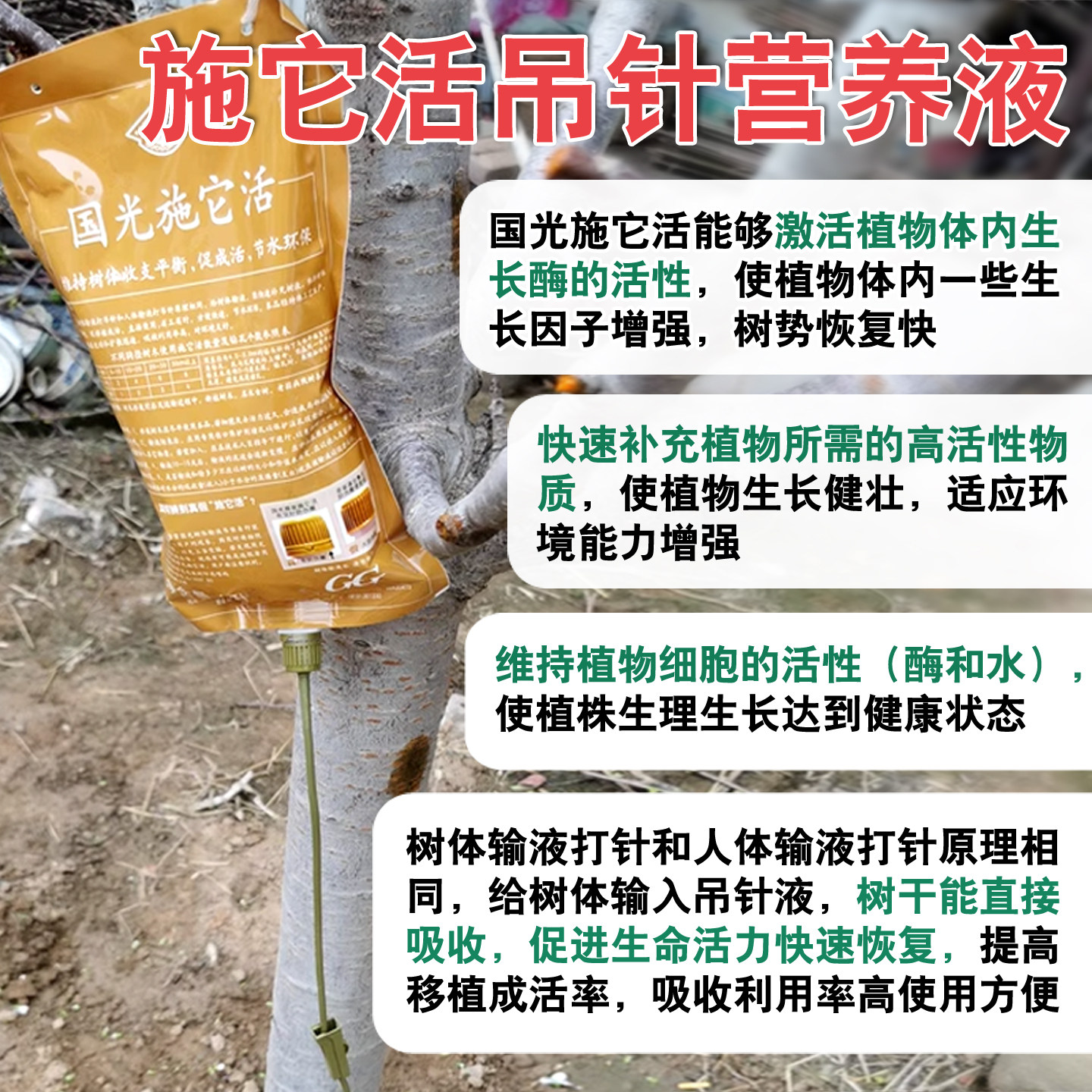 国光施它活大树营养液植物树木吊针注射激活生根果树输液管吊瓶袋,淘宝优惠券,粉丝福利购,淘宝优惠卷